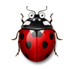 beetle frenzy gratis