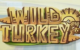 wild turkey