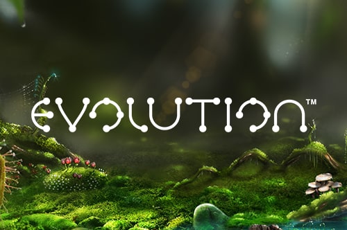 Evolution Video Slot