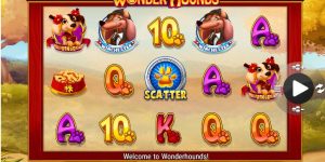 Maak samen met je viervoeter kans op geld in Wonder Hounds!