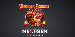 Wonder Hounds