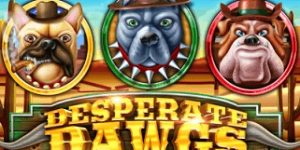 Yggdrasil en Reflex Gaming stellen teleur met nieuwe gokkast Desperate Dawgs